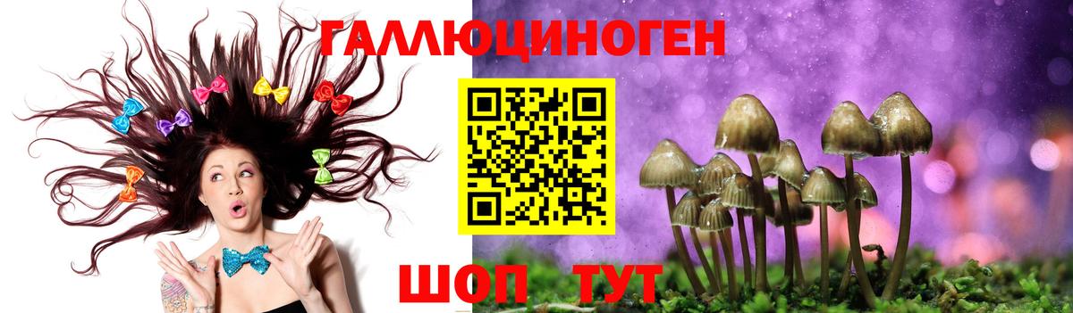 Псилоцибиновые грибы Cubensis Джанкой